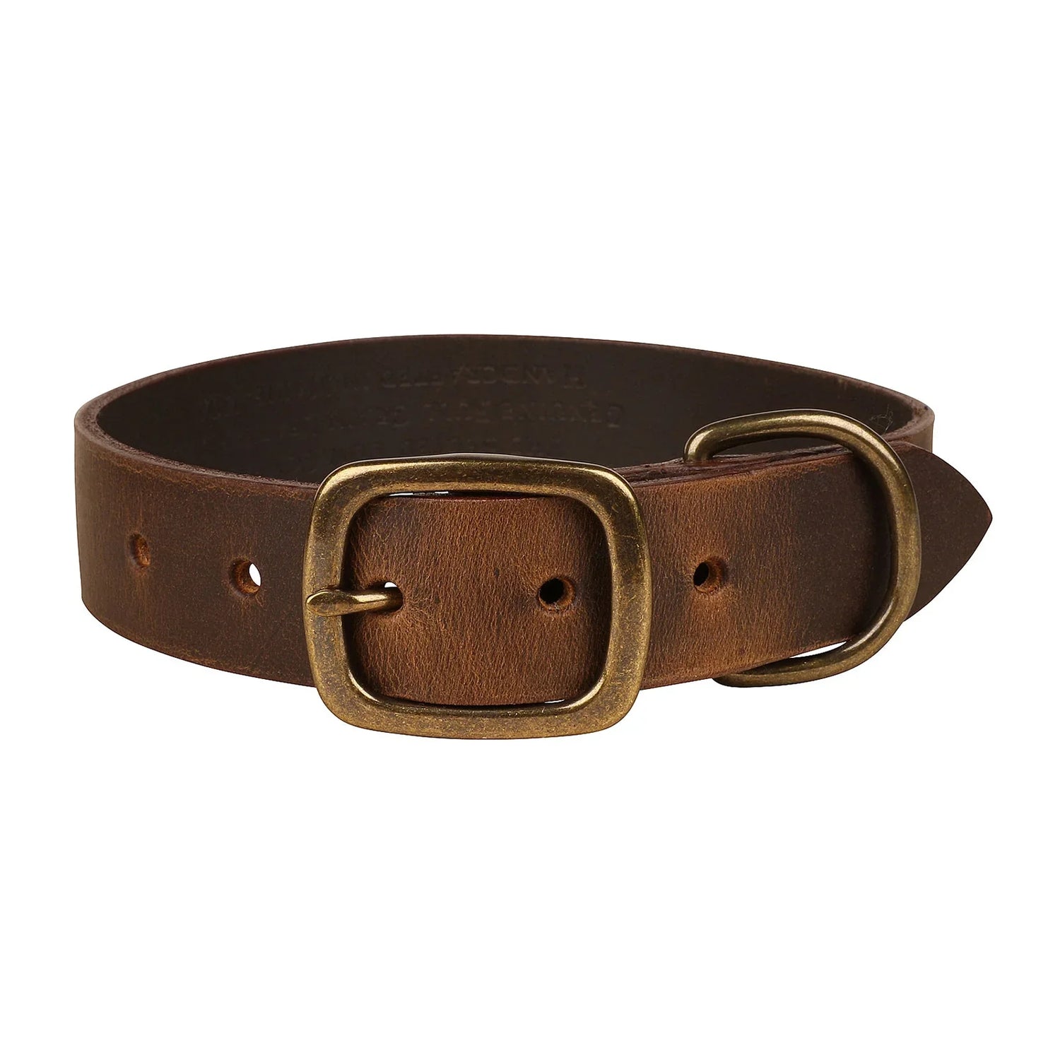 Dog Collars