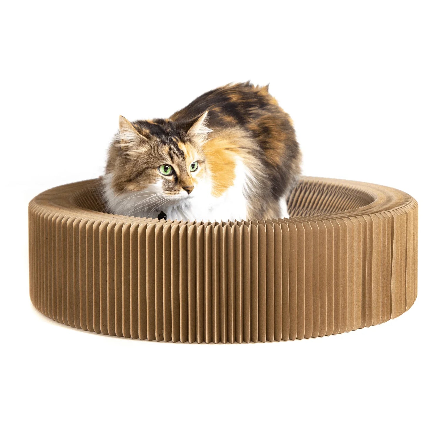 Cardboard Cat Scratchers