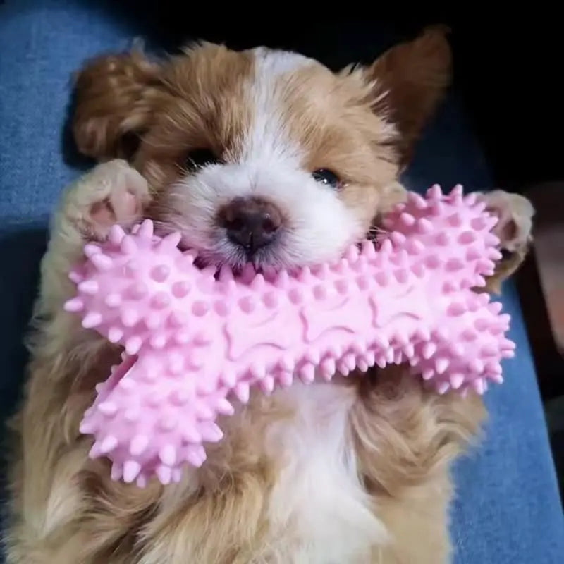 Durable Squeaky Dog Chew Toys - TPR Non-Toxic Puppy Teething Bones, Various Shapes to Satisfy Chewing Instinct