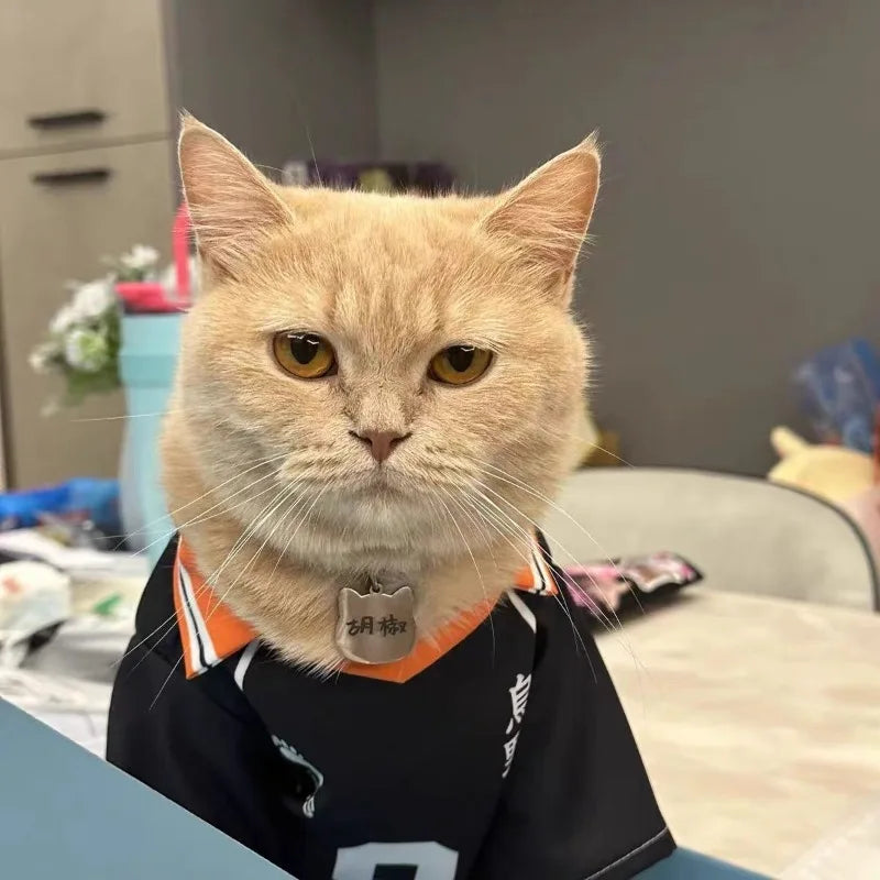 Hinata Shoyo Pet Clothing Tobio Kageyama Cats Costume Pet Cosplay Volleyball Clothes Cute Anime Dogs T-shirt Sports Party Wear