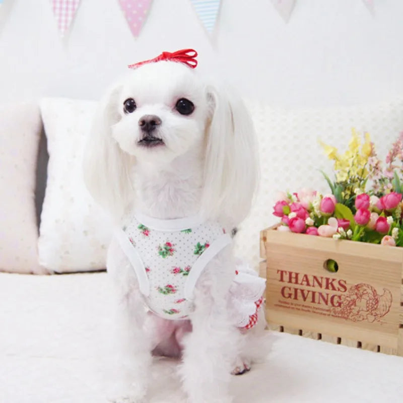 Dog Cat Pet Princess Dress Wedding Dress Clothes Spring, Summer And Autumn New Supplies Teddy