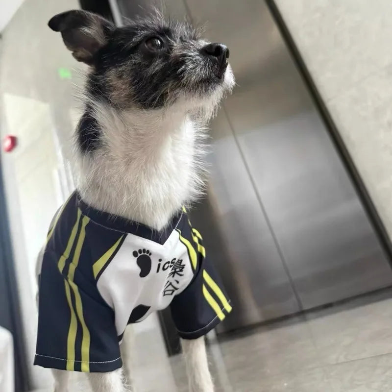 Hinata Shoyo Pet Clothing Tobio Kageyama Cats Costume Pet Cosplay Volleyball Clothes Cute Anime Dogs T-shirt Sports Party Wear
