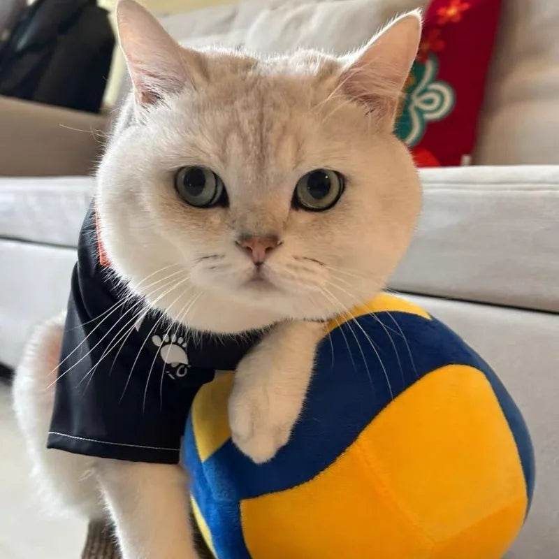 Hinata Shoyo Pet Clothing Tobio Kageyama Cats Costume Pet Cosplay Volleyball Clothes Cute Anime Dogs T-shirt Sports Party Wear