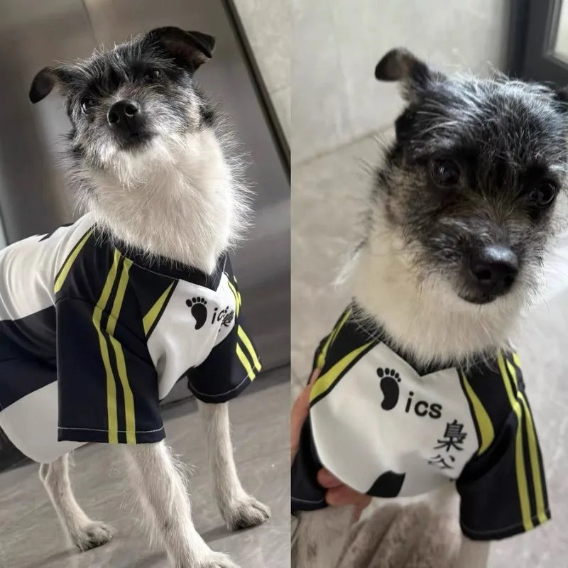 Hinata Shoyo Pet Clothing Tobio Kageyama Cats Costume Pet Cosplay Volleyball Clothes Cute Anime Dogs T-shirt Sports Party Wear